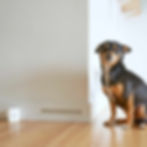 Thumbnail: SprayAlert Alarm System with Long Sensor - 10 inch version