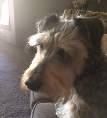 Cooper