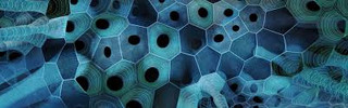 Biomimicry