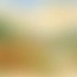 Biomassa florestal para energia e valor dos ativos