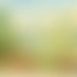 Como o FSC agrega valor ao ativo florestal