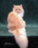 ragamuffin kitten breeders