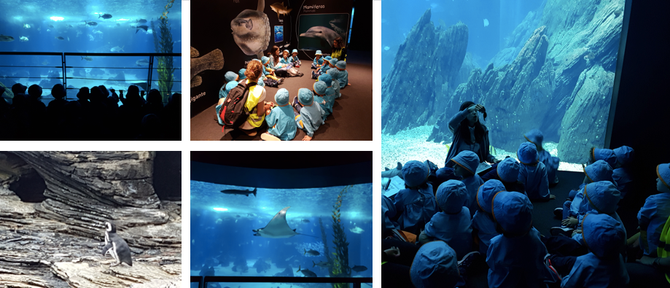 ‘OS ILUSTRES’ EXPLORAM O OCEANÁRIO