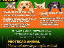 Coletivo Meu Focinho Amado realiza ação social no próximo final de semana