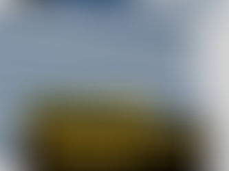 TCE determina investigação de investimentos da CEDAE no Banco Master