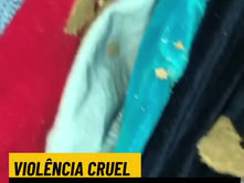 Bala no quarto de um bebê expõe a violência diária no Salgueiro