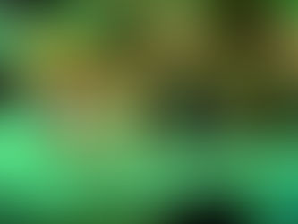 Trenzinho do Natal tomba em Niterói