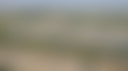 Meta Commits $10 Billion for AI Data Center in Northeast Louisiana