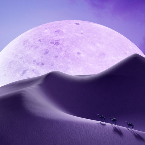 Hopelessly Romantic Kind of Heart