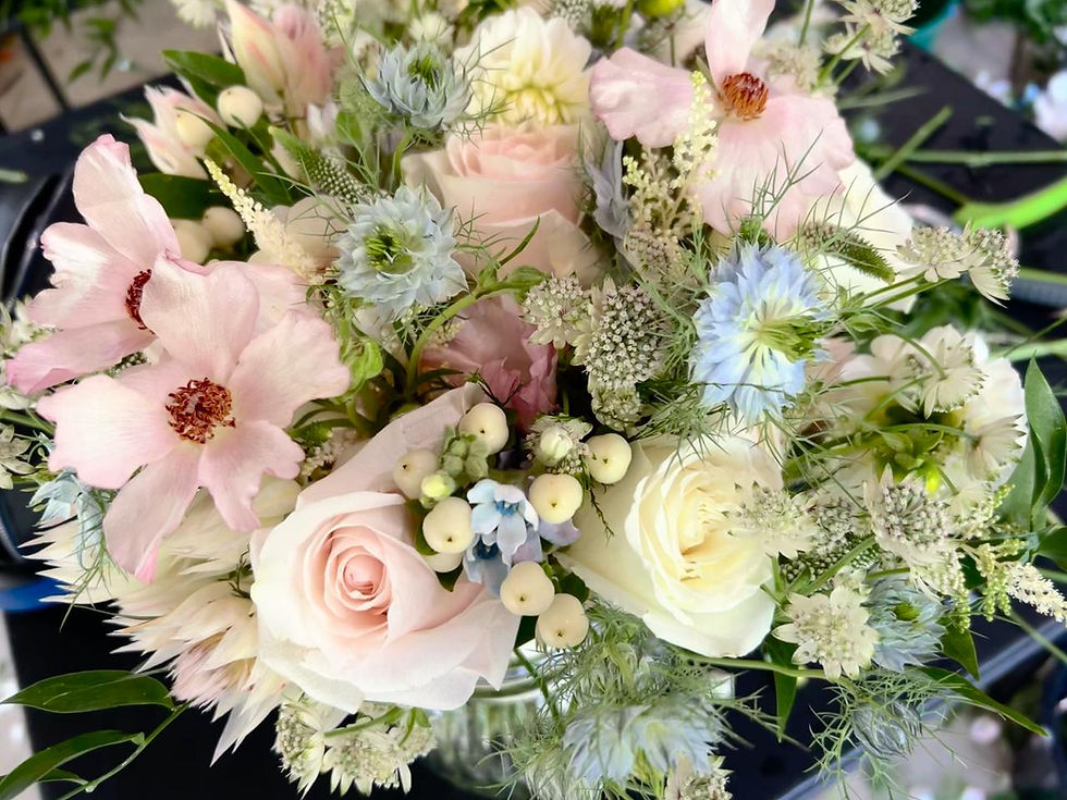 WhatsApp Image 2025-04-15 at 15.59.38.jpeg