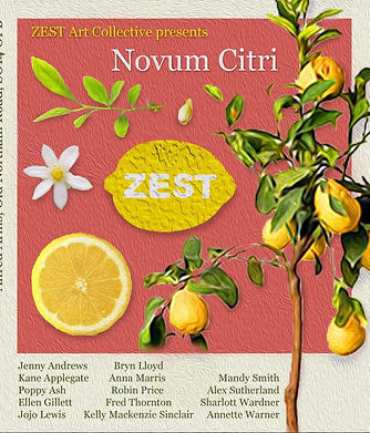 novumcitri.JPG