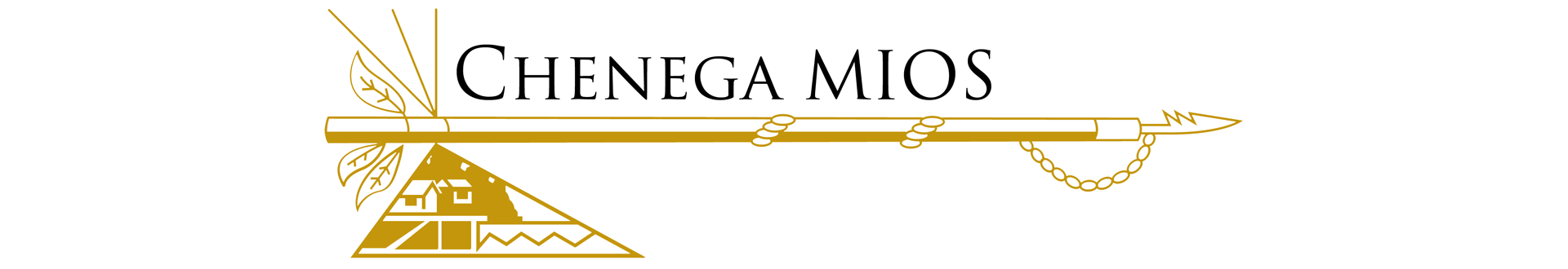 Chenega-MIOS-Logo.gif