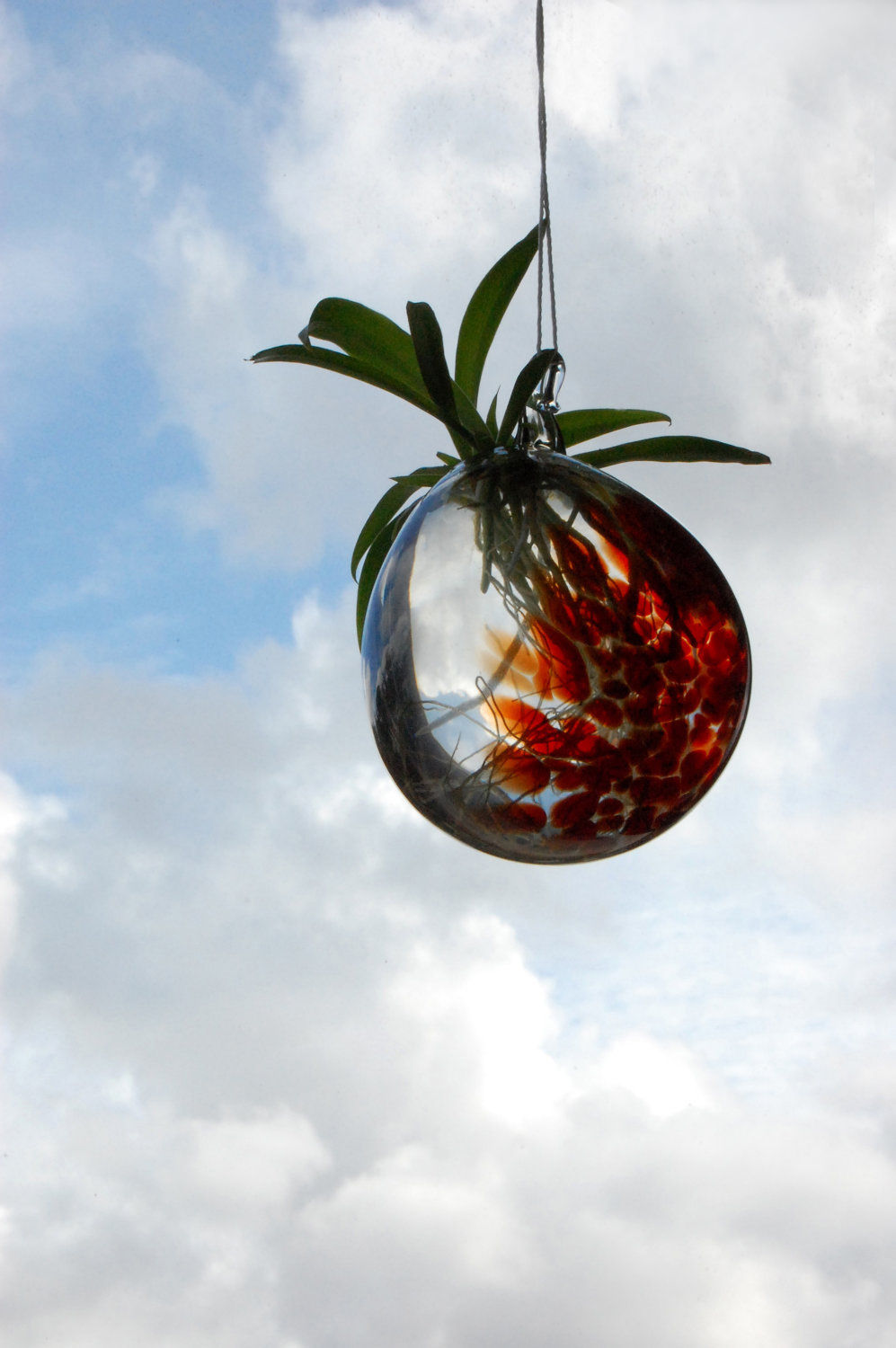 Plant memorial ashes in glass keepsakes / planter