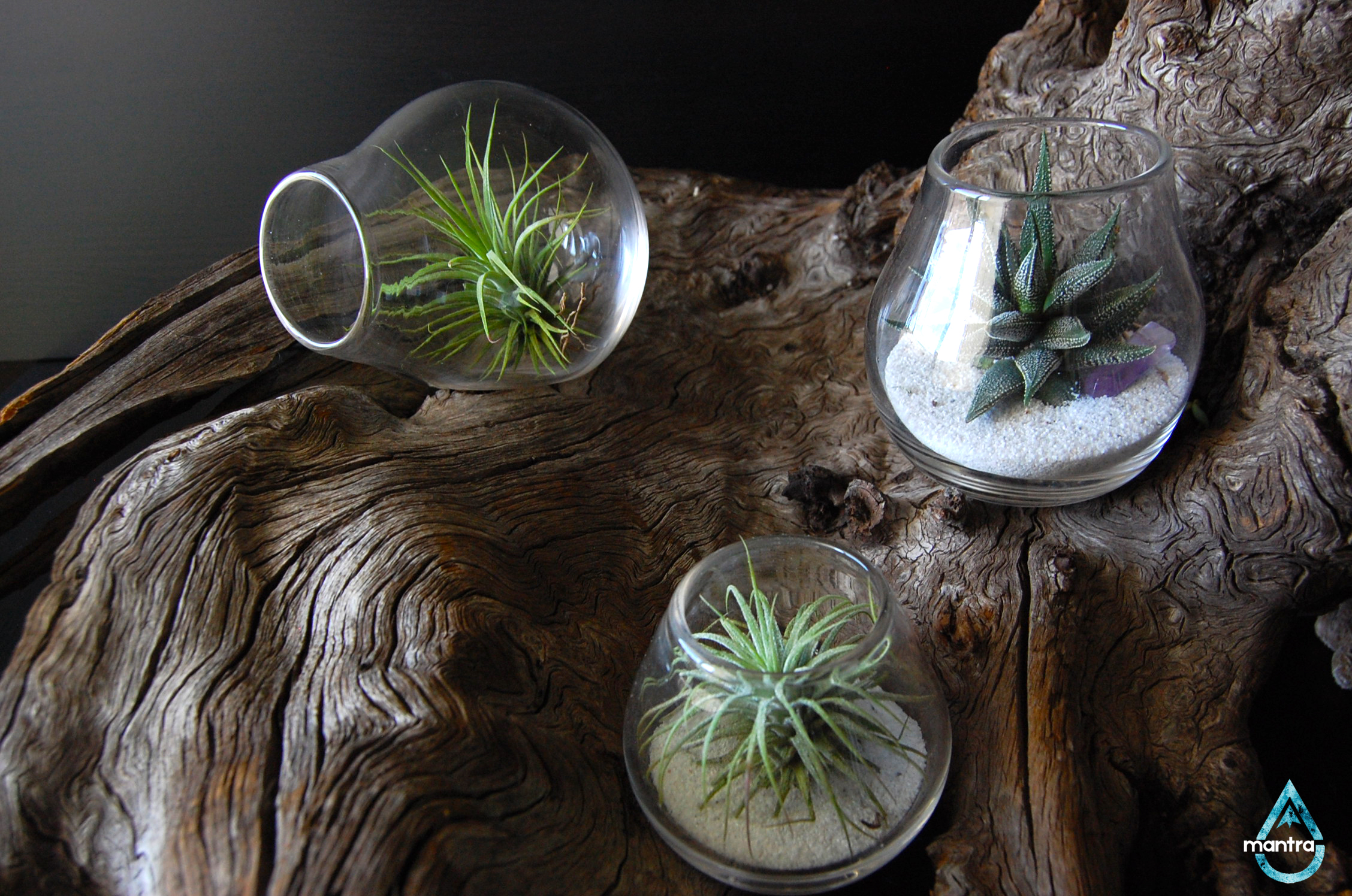 Glass Blowing Classes in Reno Lake Tahoe