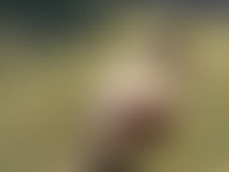 New Daycare Packages Now Available at All Pets Sitting!