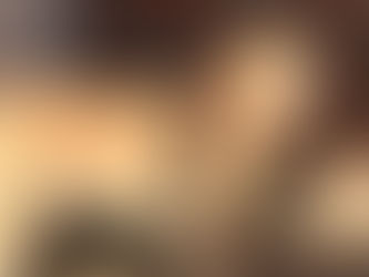 Christmas at All Pets Sitting: A Week Full of Cheer, Crafts & Canine Joy