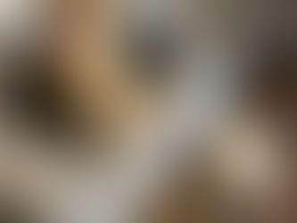 🏡 Curious About Where Your Dog Will Stay?