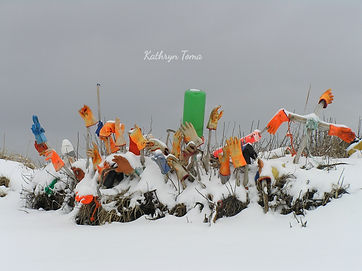 Salute To Winter 7020