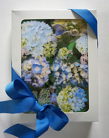 Boxed set of 8 note cards from the flowers and fun gallery