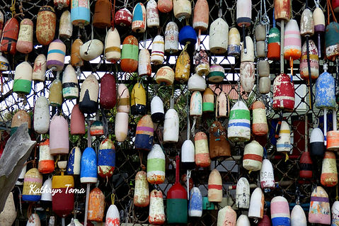 The Buoys Are Here 2570