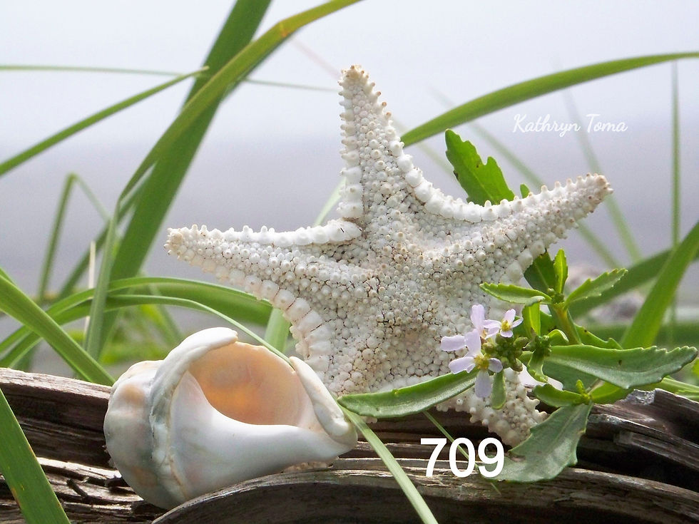 Thumbnail: Glass Cheese Board with Sea Glass Image
