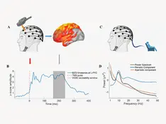 Alzheimer’s EEG Biomarker Linked to Cortical Excitability and p-tau181. Enobio. Neuroelectrics