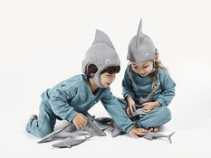 Advancing Maternal and Child Brain Health: Healthy Beginnings and Hopeful Futures. Neuroelectrics