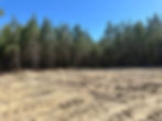 Old Wadley Lot 11 Homesite
