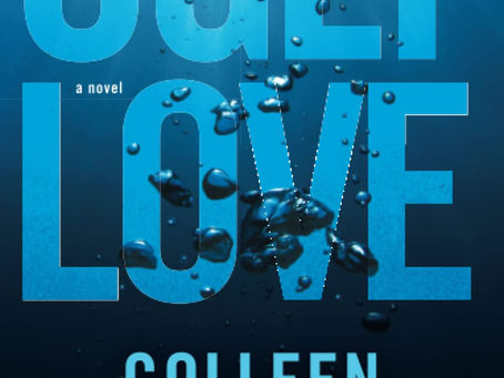 Ugly Love Book Review