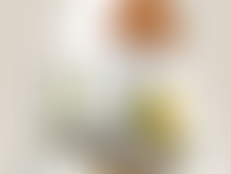 イラストレーター ハヤシナオユキのWebサイトがオープンしました