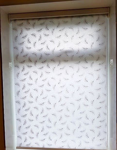 Roller Blind Woking