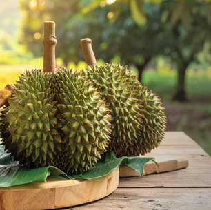 Taking the Pahang High Ground: Why the World’s Finest Durians Grow on Mountain Slopes