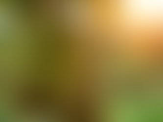 Preserving Nature and Bringing You the Best Durians