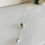 Thumbnail: Japanese Tensha beads freshwater pearl with surgical stainless chain necklace
