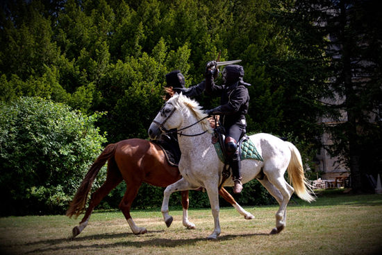 AIEEH Association Internationale d'Art Equestre et d'Equitation Historique - Escrime à cheval aux Ecuries du Château de Chaumont en Charolais
