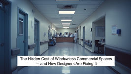 The Hidden Cost of Windowless Commercial Spaces — and How Designers Are Fixing It