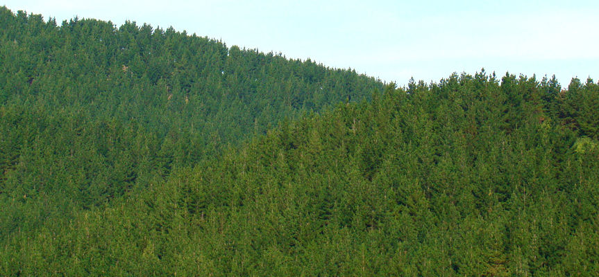 Sustainability is at the heart of Daylite Windows