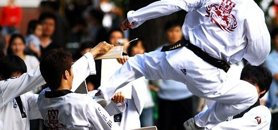 경희대태권도시범