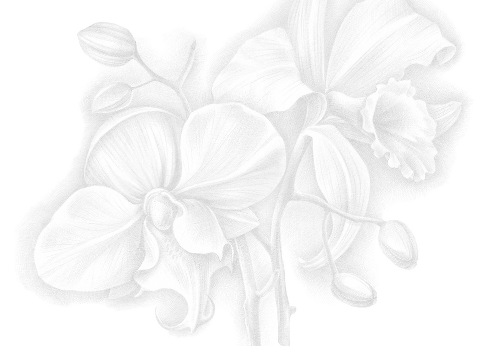 catalaya flower background.png