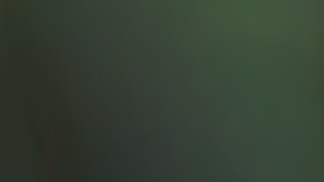 The Minimalist Canva Pack  Green (1920 x 1080 px) (5).png