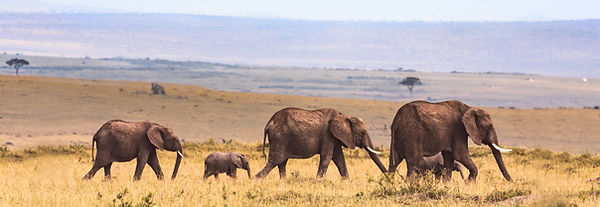 AEnB2UoUW7MjLWpKm9hlm6Yg_-A1C8xkMgigrfU7evMmDzAJCBhv113_JjCGwRwDohIbRHkoBXjCqrgyLqdf4B5xaa