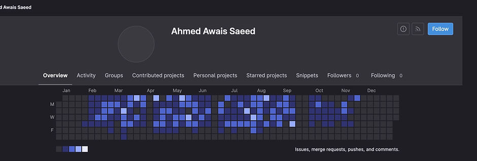 Github Contributions.JPG