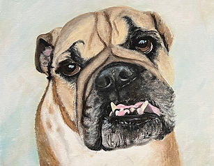 Bull Dog painting