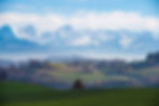 AdobeStock_749358068-min.jpeg