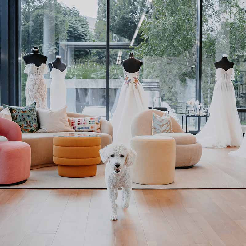 Moderne Brautkleid-Boutique in Rorschach