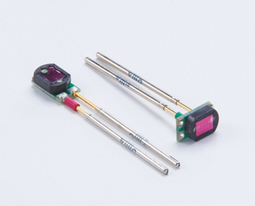 feuille de dattes finlandaise.png