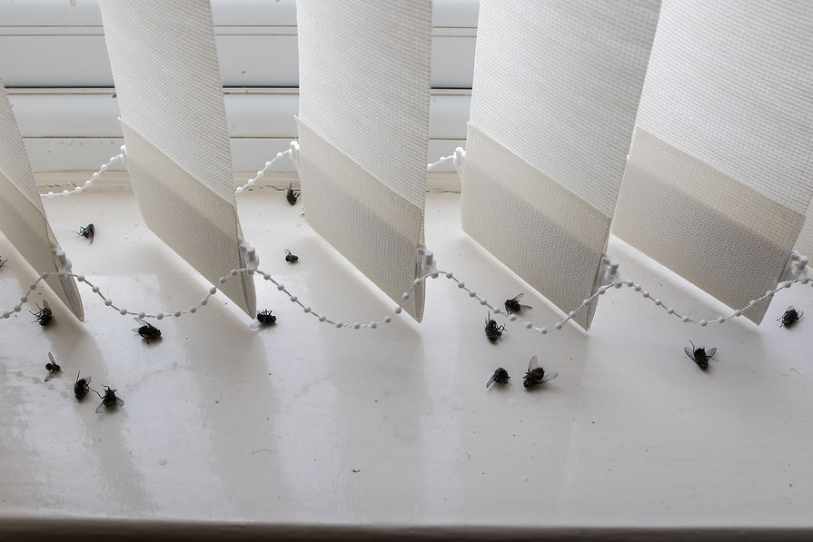 Fly Control By Marvel