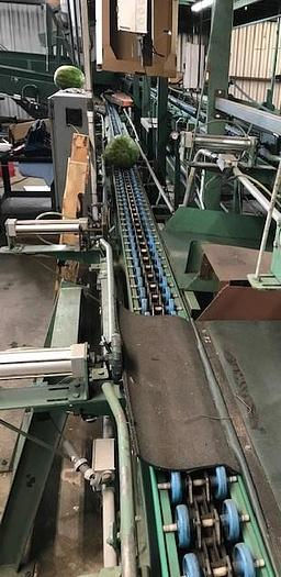 Thumbnail: 2004, Durand Wayland, used Watermelon Grading Line