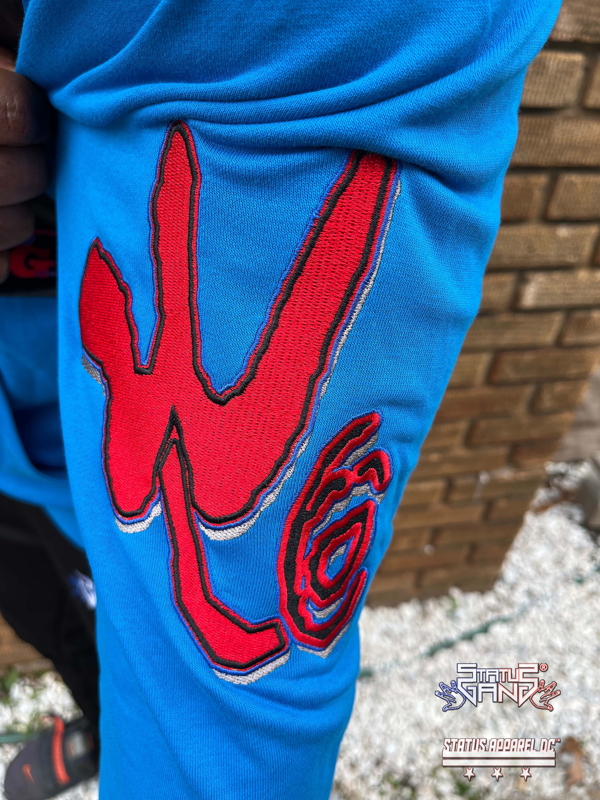 Status Apparel DC Hoodie inspired by Temple University House Party moment.