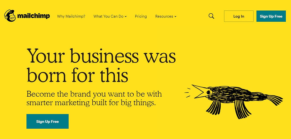 mailchimp email marketing